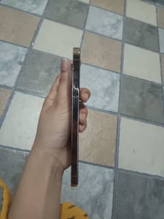 Iphone 12 pro max Non Pta 128 GB Back crack