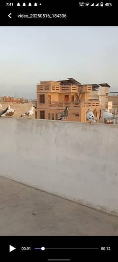 larthi ho ha 10 ha