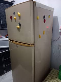 Pel refrigerator for sale