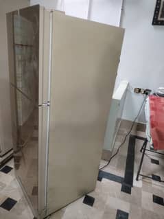 Kenwood fridge
