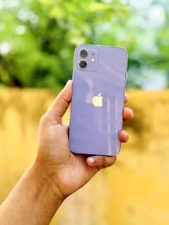 iPhone12