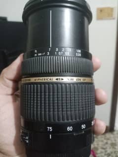 Tamron