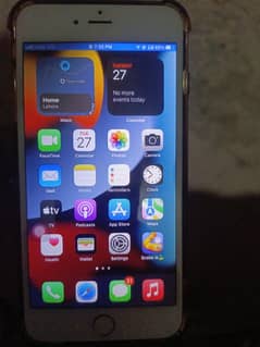 03065989061 03114789404