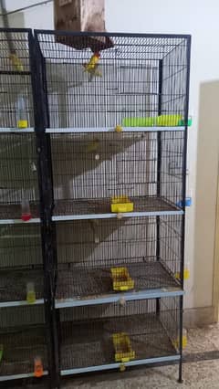 CAGE FOR SALE . . AGAR KOI SHARAI LE GA OS KO SPECIAL DISTCOUNT MILAI