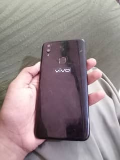 Vivo