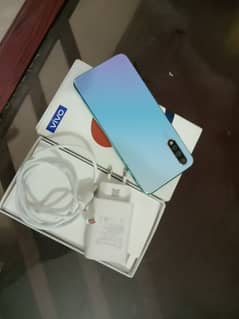vivo