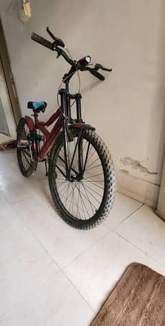 Cycle (Big size)