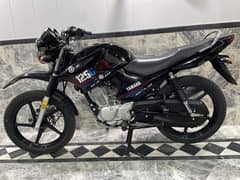 Yamaha ybr 125g 2023 Model