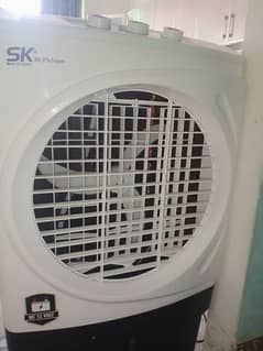 SK room collar
