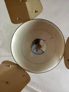 Cooper Winding ceiling Fan