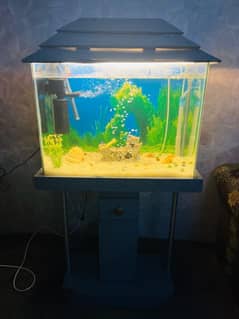 Aquarium | Fish Tank | Aquarium Accessories | 2ft x 1ft