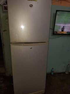 FRIDGE PEL