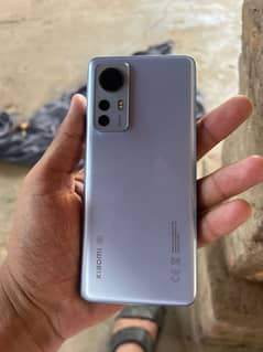 Xiaomi 12 with Box 12/256