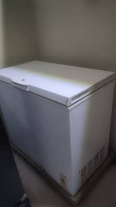 haier best freezer for Bakra eid
