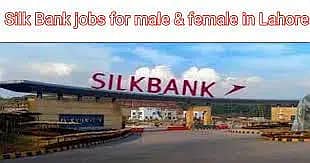 Excutive Bank Job ALL LAHORE TO EUROP fresh & expercied male & female