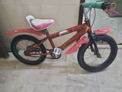 kids china cycle