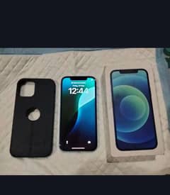 iPhone 12 dual approve