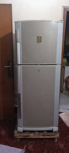 Dawlance company medium size