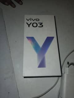 y03