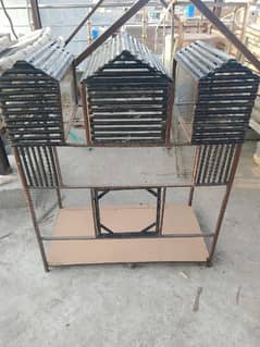 Birds cage