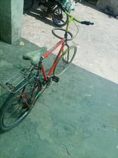 willing cycle
