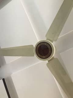 Ceiling