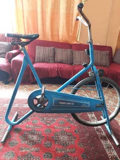 Exercise cycle