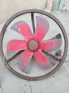 coolar
