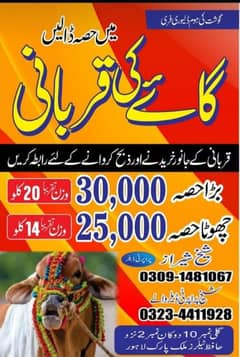 Qurbani