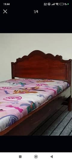 Single Bed Mattress - Molty Foam