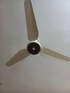 Ceiling FAN SK  MAGNUM Model for sale