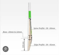 CA gold premium hard ball bat
