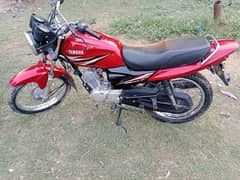 yamaha