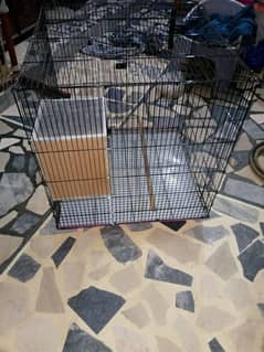 birds cage for sale
