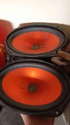 pioneer