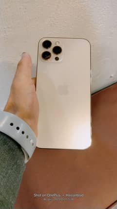 Apple iPhone 12 Pro Max    256 GB   PTA APProved