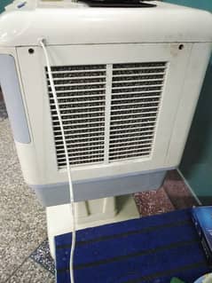 Cooler