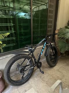 Fat tire bike
