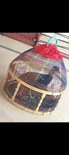 kala ti/tar sindhi bolna wlaa