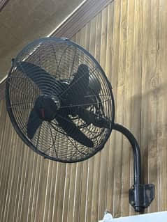 2 royal fans in good price