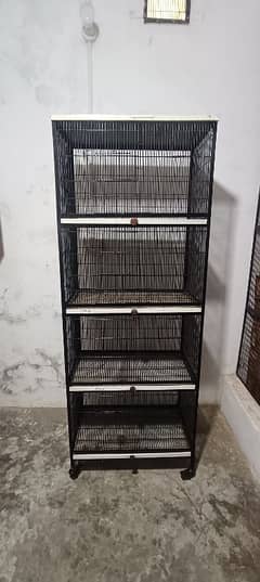 Full angle 5 cages available