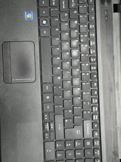 Acer