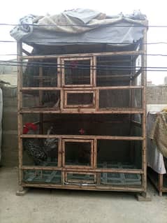 cage for hens and others