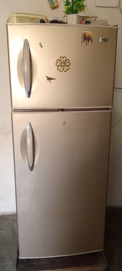 Haire fridge. Good condition. Ok ha.