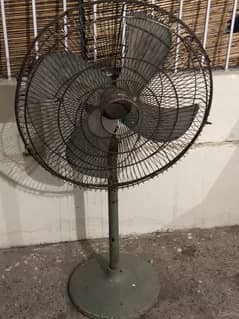 Fan for sale
