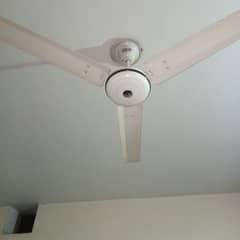56''  2 fan's available