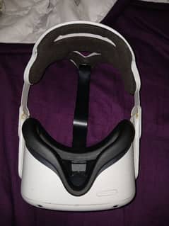 oculus