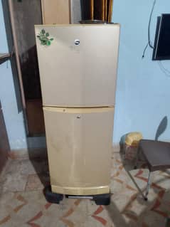 fridge selling pel