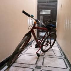 Gear