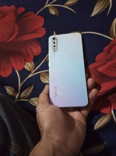 Vivi s1
